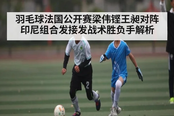 羽毛球法国公开赛梁伟铿王昶对阵印尼组合发接发战术胜负手解析